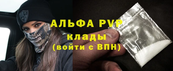 прущие грибы Белокуриха