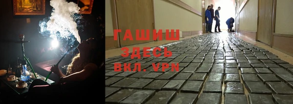 прущие грибы Белокуриха