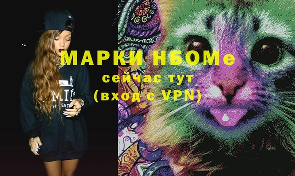 прущие грибы Белокуриха
