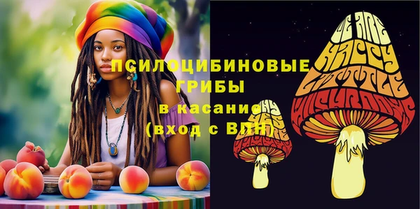 mdma Богданович